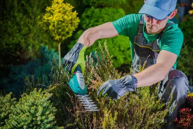 landscaping services North Westport
